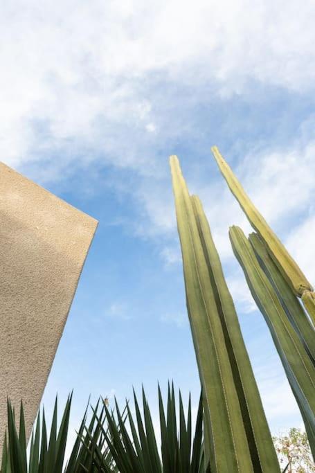 Desert Princess Villa Palm Springs Area Cathedral City Exterior foto